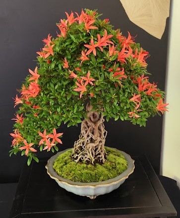 Triangular composition